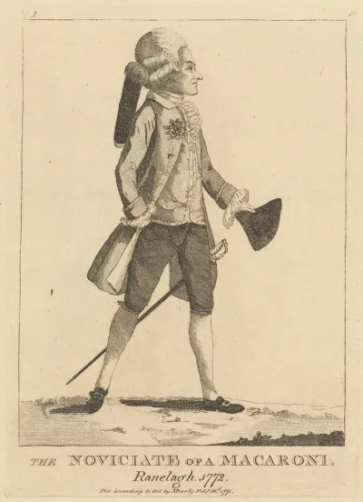 The Novicate