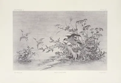The Ornamental Arts Of Japan Pl 009