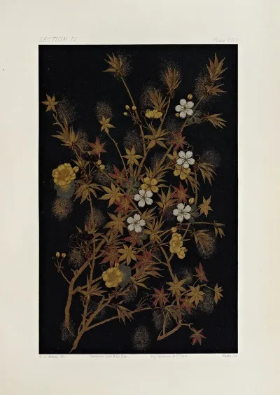 The Ornamental Arts Of Japan Pl 052