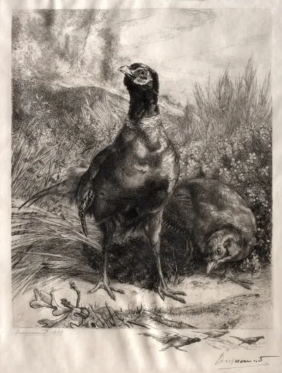 The Pheasants