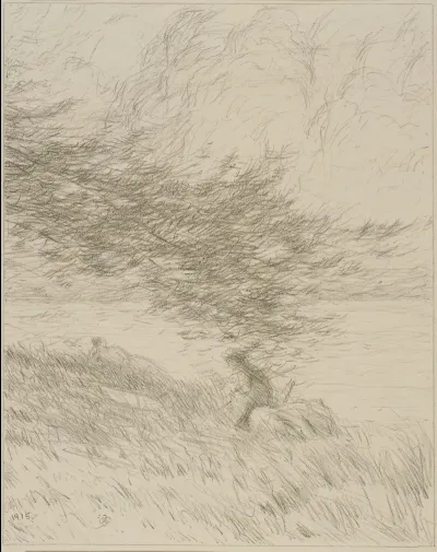 The Pine Bough
