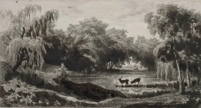 The Pool With Stags