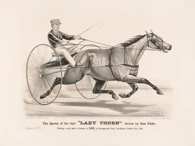 The Queen Of The Turf Lady Thorn Driven By Dan Pfifer