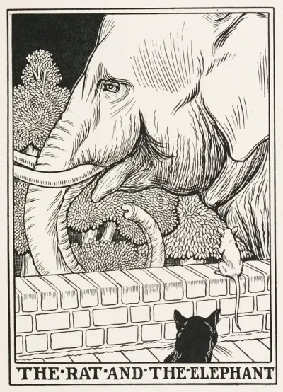 The Rat And The Elephant