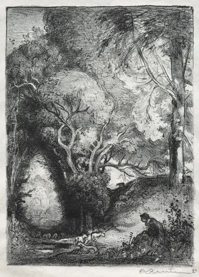 The Ravine In June