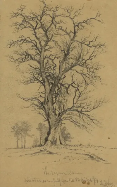 The Signal Station Sketched Near Culpeper C H Va