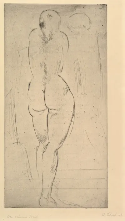 The Solitary Woman Das Einsame Weib