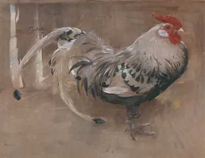 The Spangled Cock