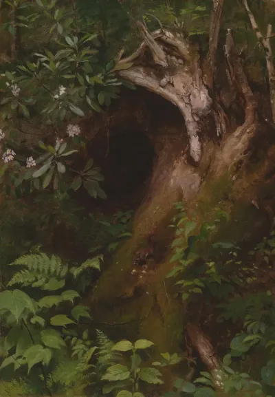 The Squirrel