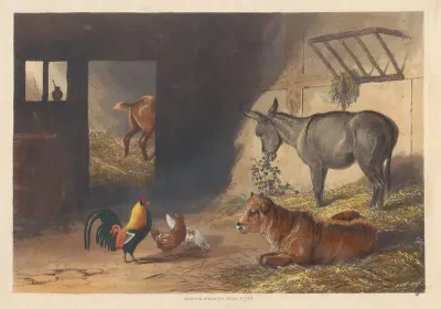 The Stable 3