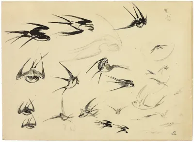 The Swallows
