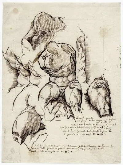 The Torso Belvedere