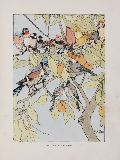 The Trial Of The Shrike