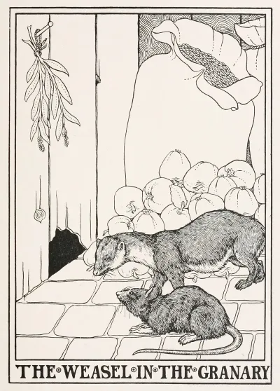 The Weasel In The Granary 2