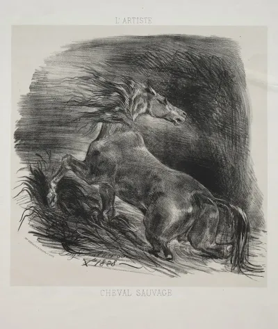 The Wild Horse Or Frightened Horse Leaving The Water