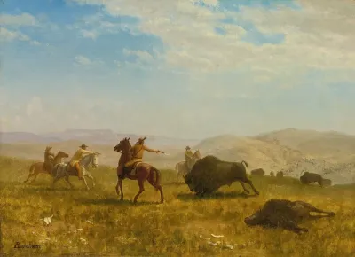 The Wild West