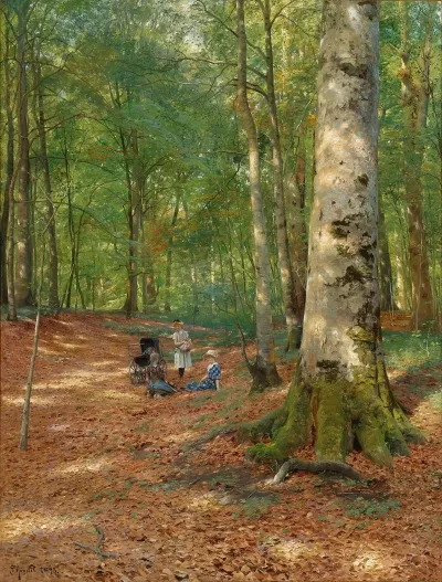 The Woodland Glade