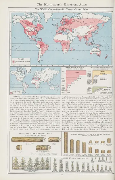 The Worlds Commodities 11 Timber Oil And Palms
