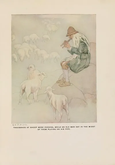 Thousands Of Sheep Were Feeding