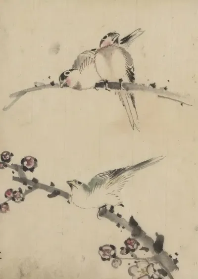 Three Birds Perched On Branches One With Blossoms