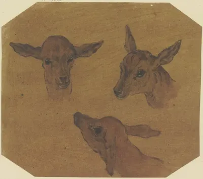 Three Doe Heads