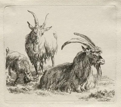 Three Goats 3