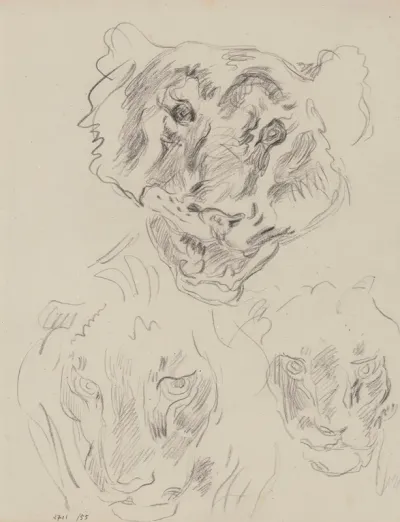 Three Heads Of Wild Animals