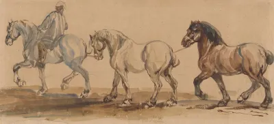 Three Horses Harnessed One Behind The Other