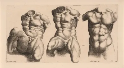 Three Male Torsos