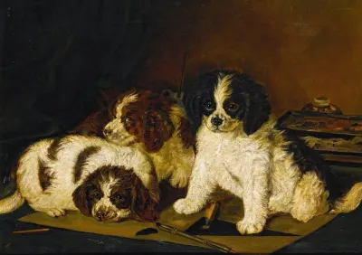 Three Spaniel Puppies