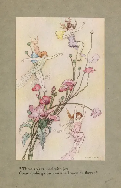 Three Spirits Mad With Joy Come Dashing Down On A Tall Wayside Flower