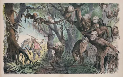 Through The Jungle