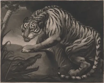 Tiger And Crocodile