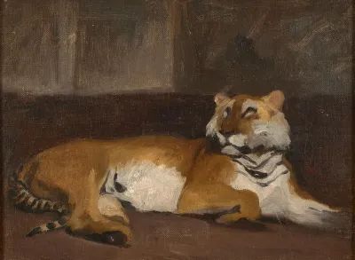 Tigre Allonge