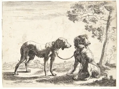 To Hunde Bundet Sammen