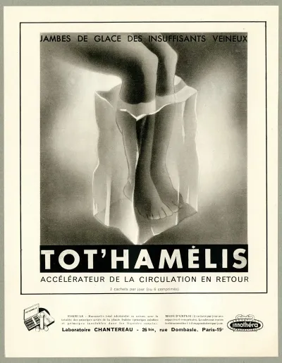 Tothamelis 8