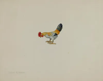 Toy Rooster 2
