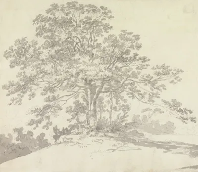 Tree 3