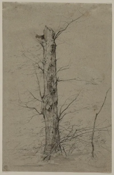 Tree 4