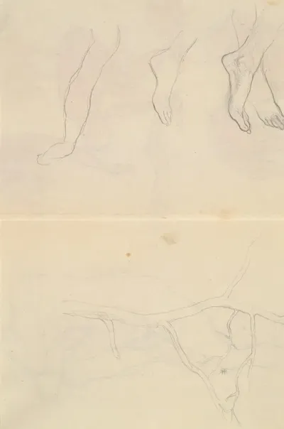 Tree And Anatomy Studies
