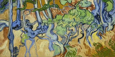 Tree Roots