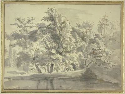 Tree Section By The Water 3