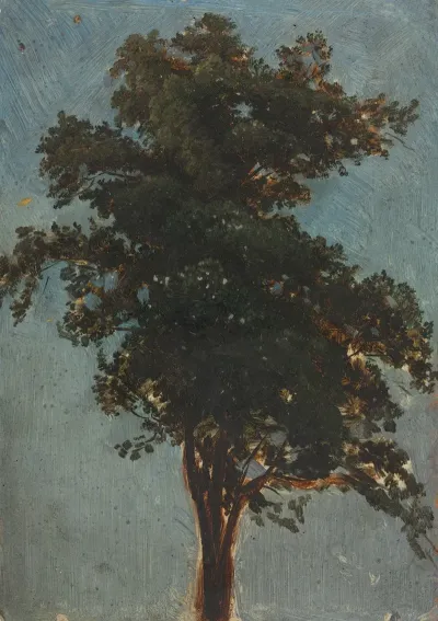 Tree Study 13