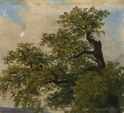Trees 12