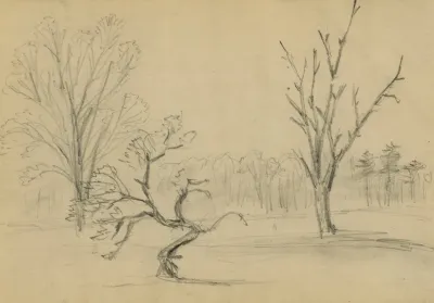 Trees 19