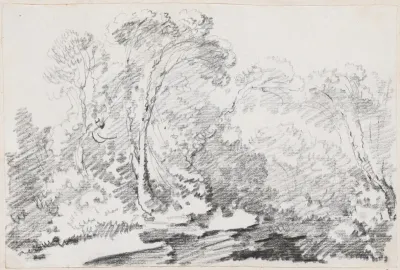 Trees 5