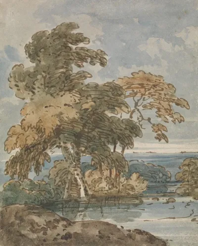 Trees By A River
