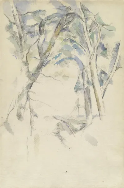 Trees Leaning Over Rocks