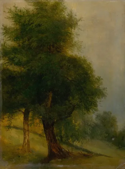 Trees On A Slope