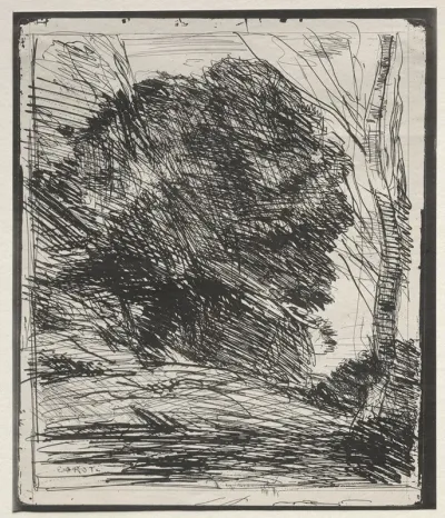 Trees On The Mountain